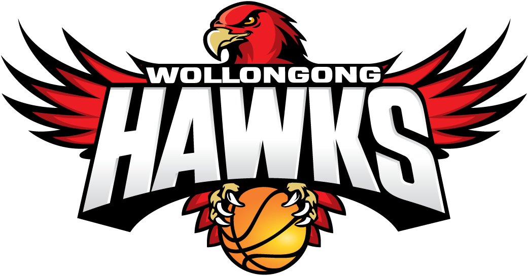 Wollongong Hawks 2008-Pres Primary Logo iron on transfers for T-shirts